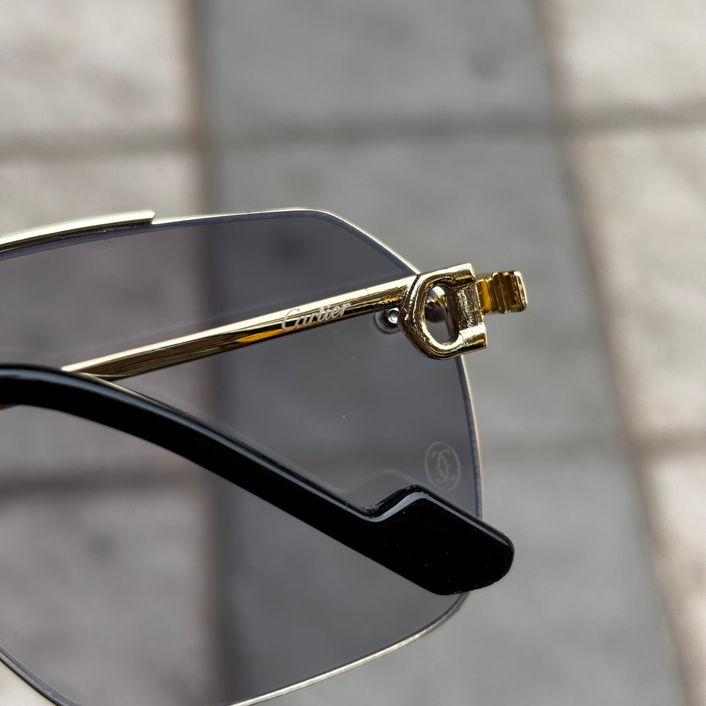 Gafas CT PREMIER – Lente Fotocromático UV | Montura Acero Inoxidable
