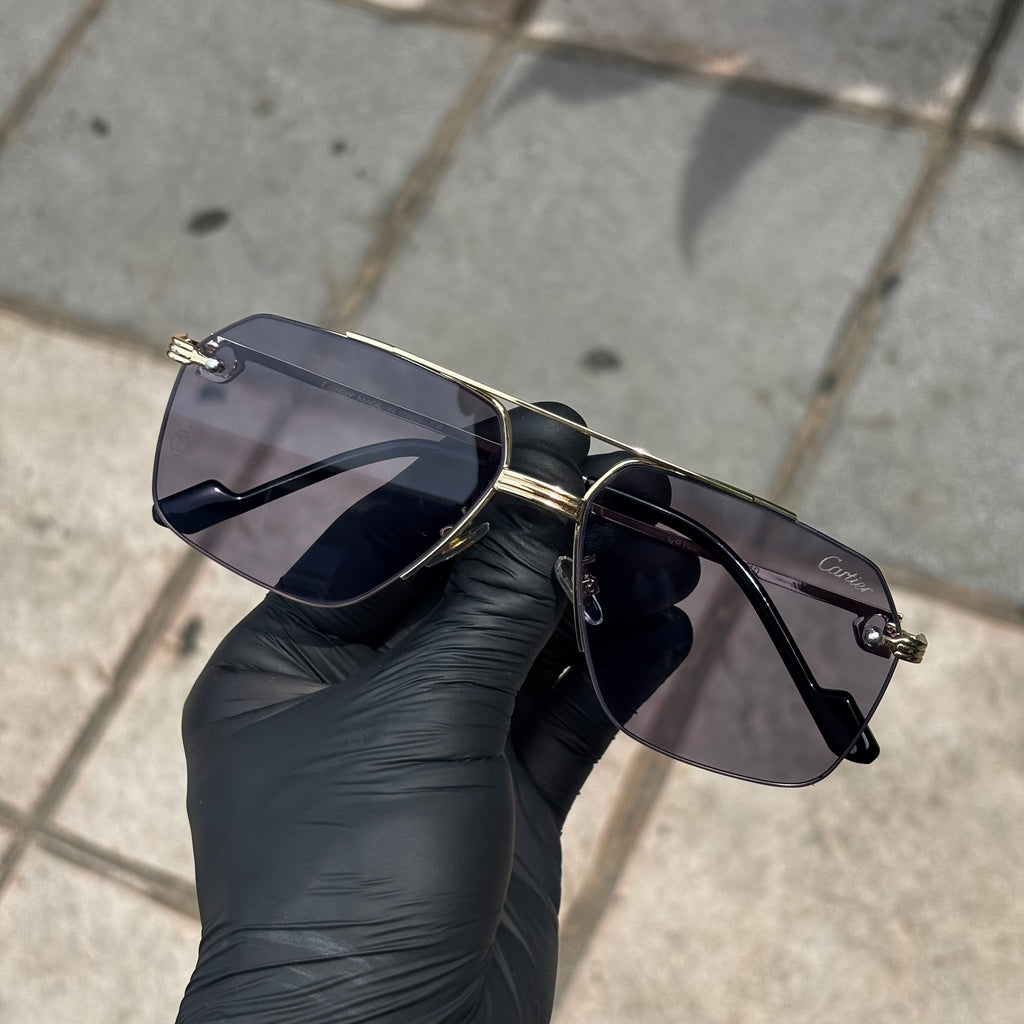 Gafas CT PREMIER – Lente Fotocromático UV | Montura Acero Inoxidable